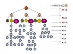 双轨制公排系统直销模式